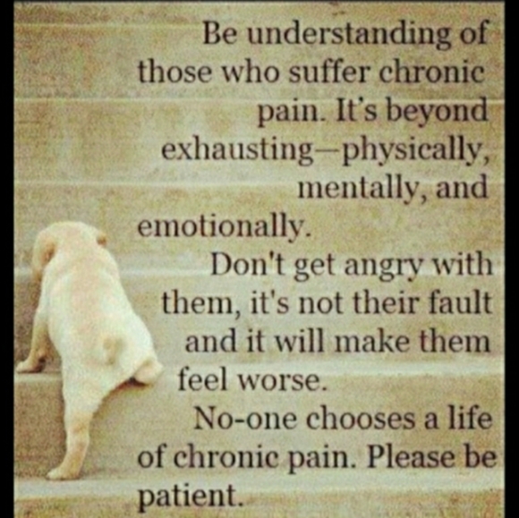 Collector's Encyclopedia of Nippon Porcelain Hard Cover Book 5th Edition - Picture 12 of 16